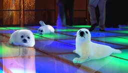 Clubbing Baby Seals logo